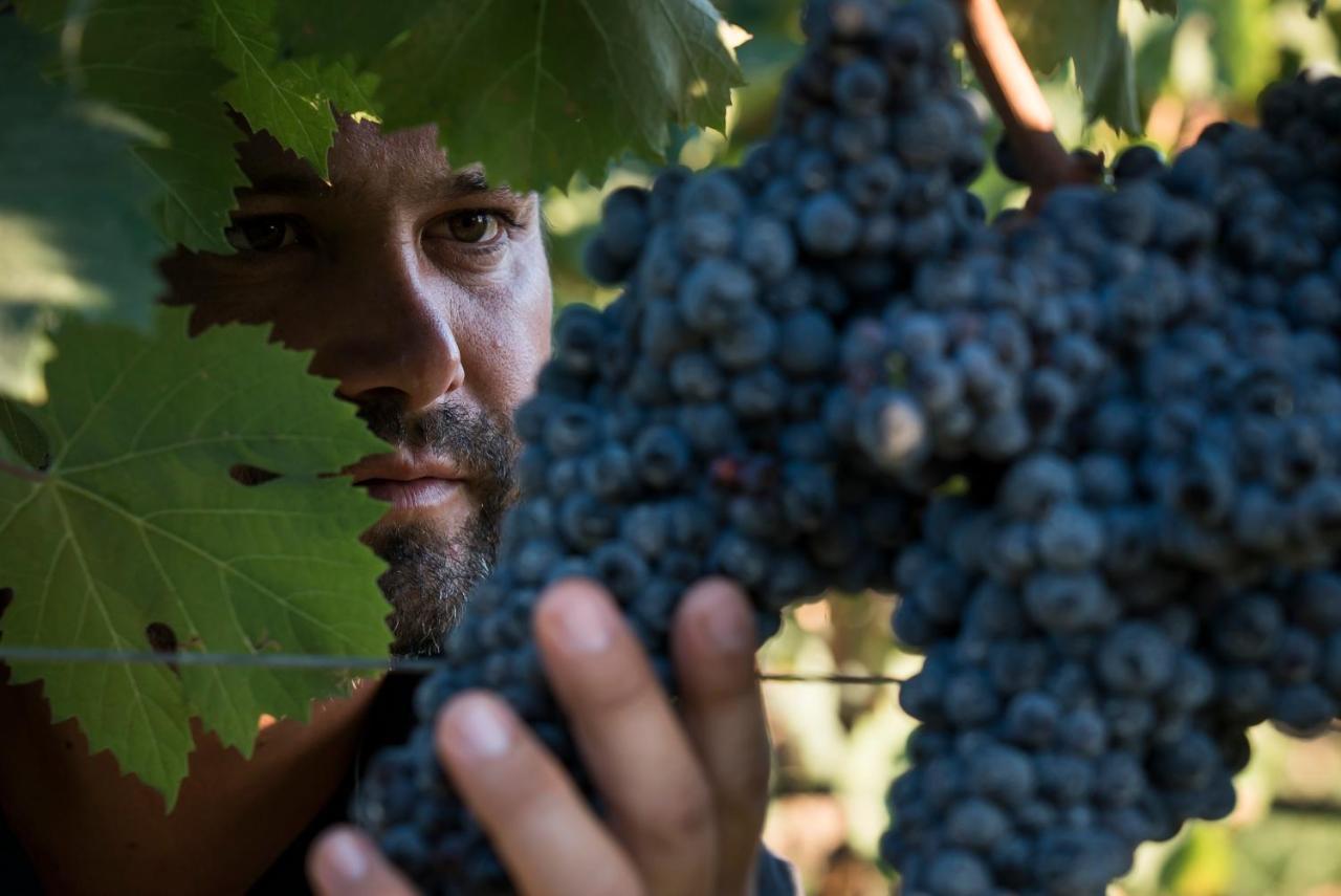 Is Cheas Wine Farm Boutique Hotel サン・ヴェーロ・ミーリス エクステリア 写真