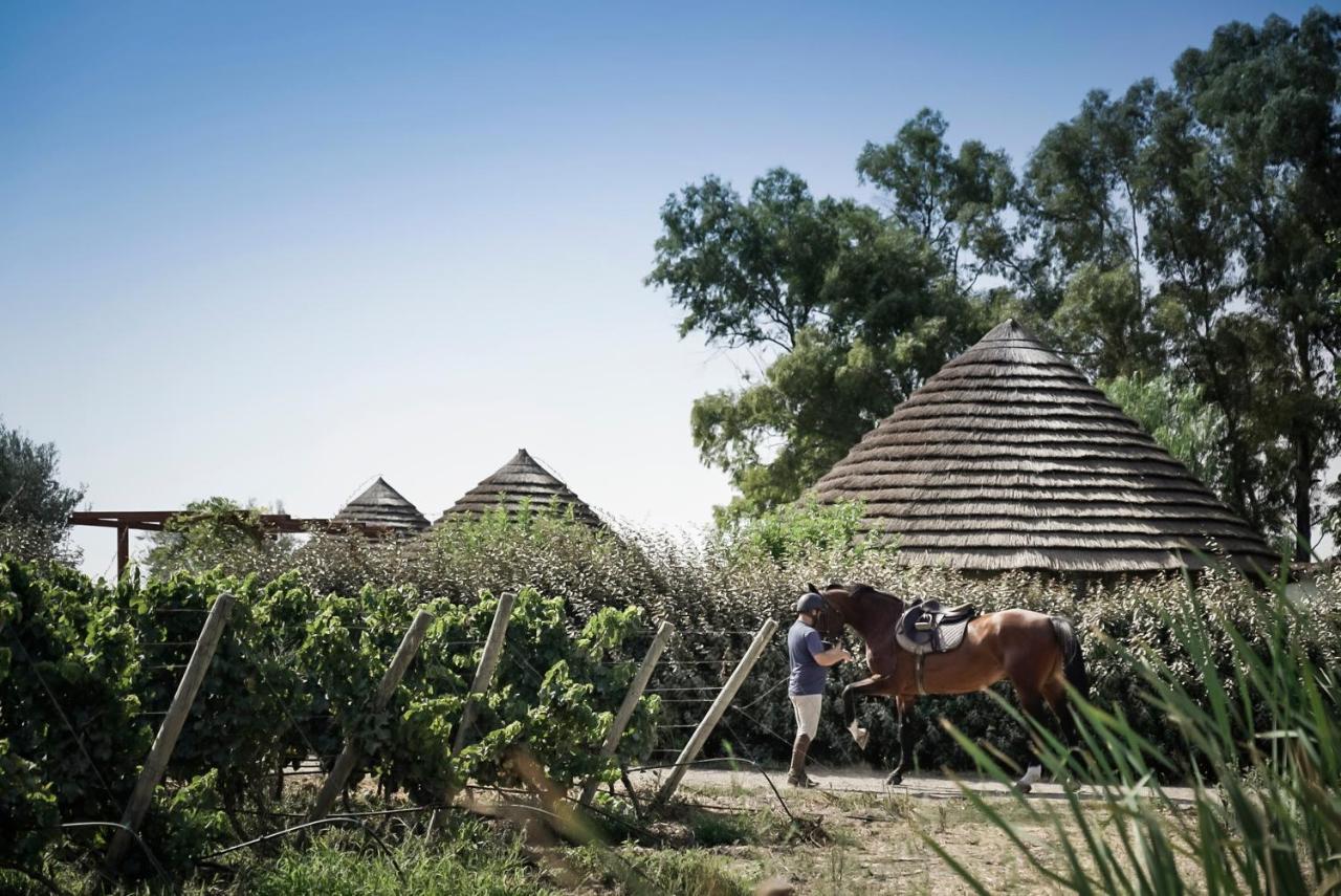 Is Cheas Wine Farm Boutique Hotel サン・ヴェーロ・ミーリス エクステリア 写真