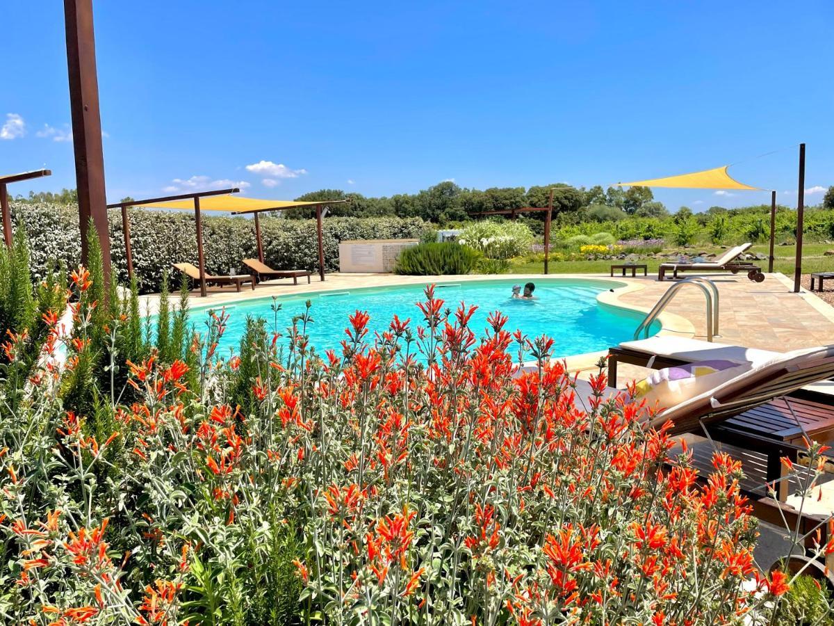 Is Cheas Wine Farm Boutique Hotel サン・ヴェーロ・ミーリス エクステリア 写真