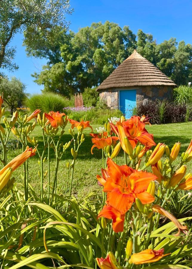 Is Cheas Wine Farm Boutique Hotel サン・ヴェーロ・ミーリス エクステリア 写真