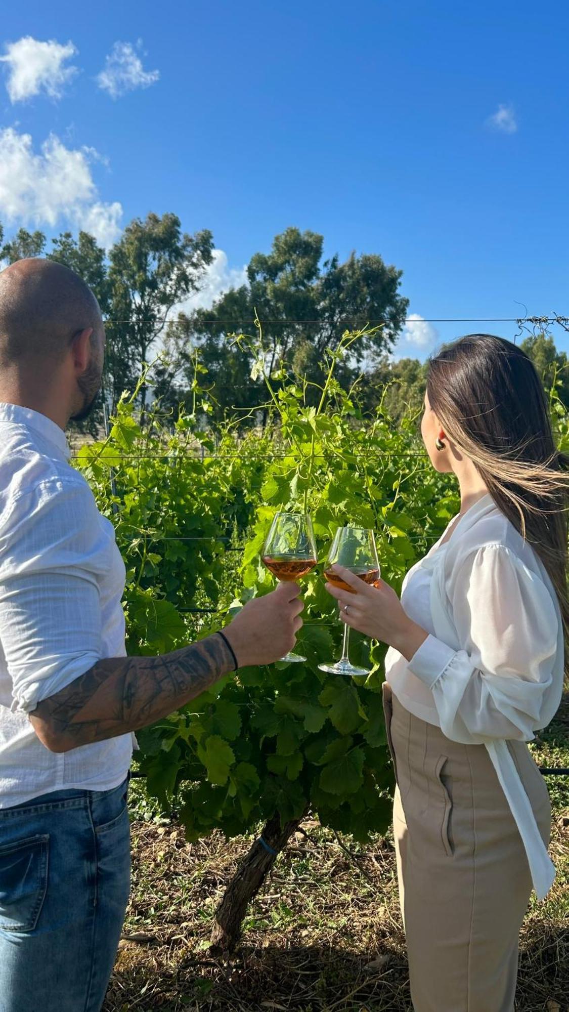 Is Cheas Wine Farm Boutique Hotel サン・ヴェーロ・ミーリス エクステリア 写真