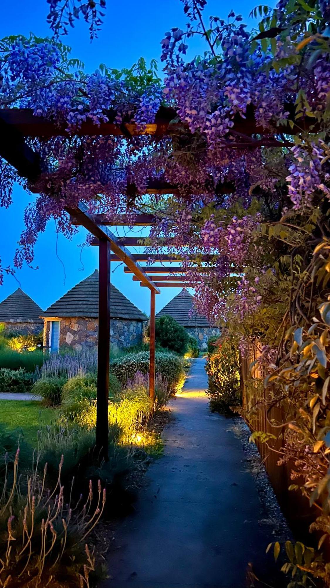 Is Cheas Wine Farm Boutique Hotel サン・ヴェーロ・ミーリス エクステリア 写真