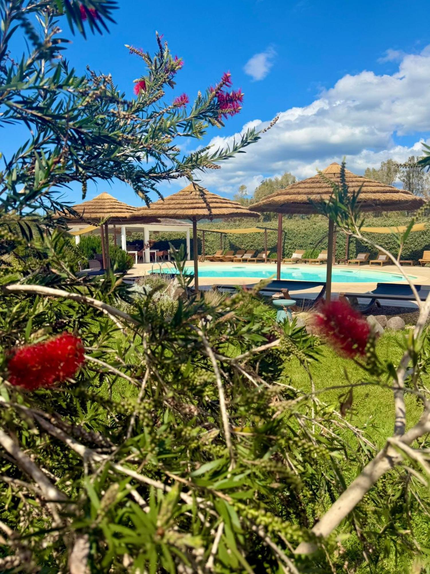 Is Cheas Wine Farm Boutique Hotel サン・ヴェーロ・ミーリス エクステリア 写真