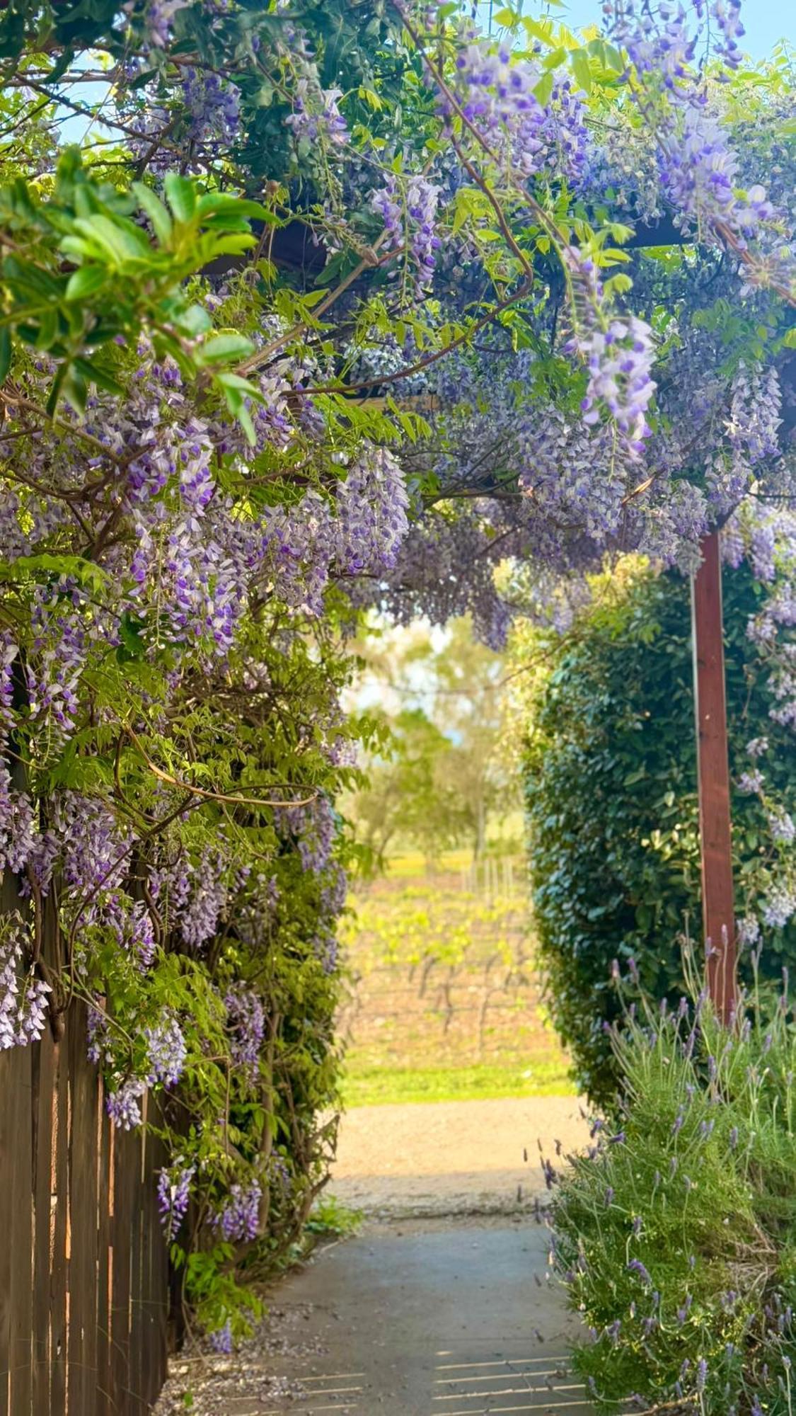 Is Cheas Wine Farm Boutique Hotel サン・ヴェーロ・ミーリス エクステリア 写真