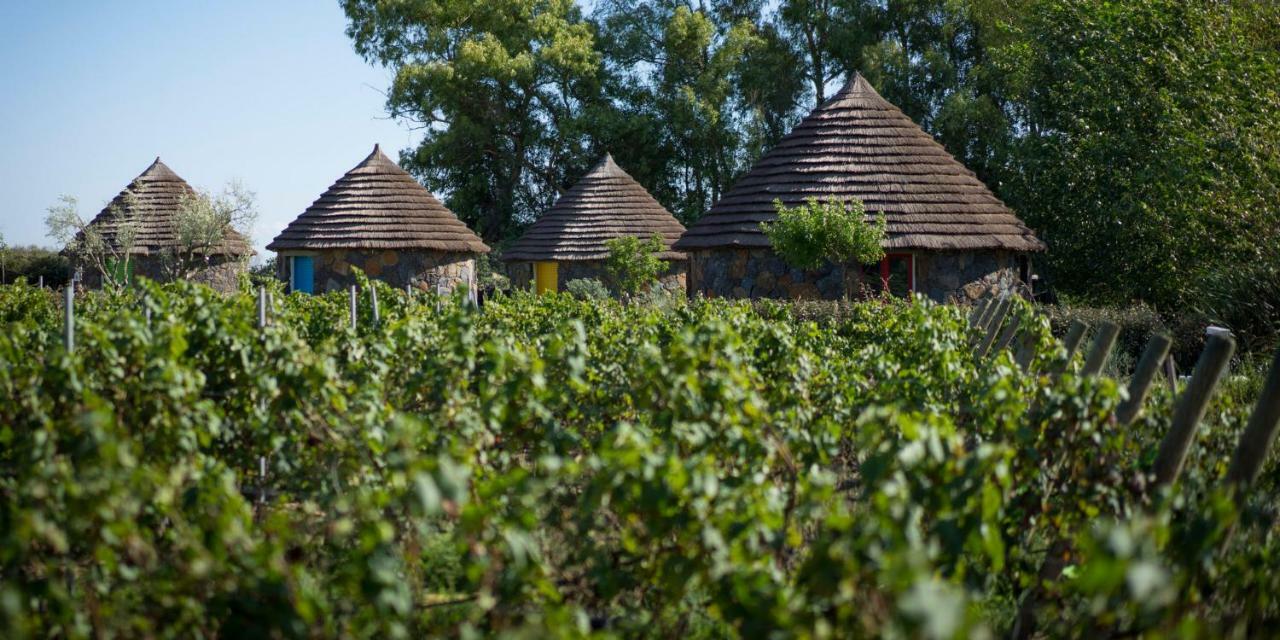 Is Cheas Wine Farm Boutique Hotel サン・ヴェーロ・ミーリス エクステリア 写真